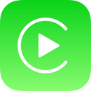 Apple CarPlay logo