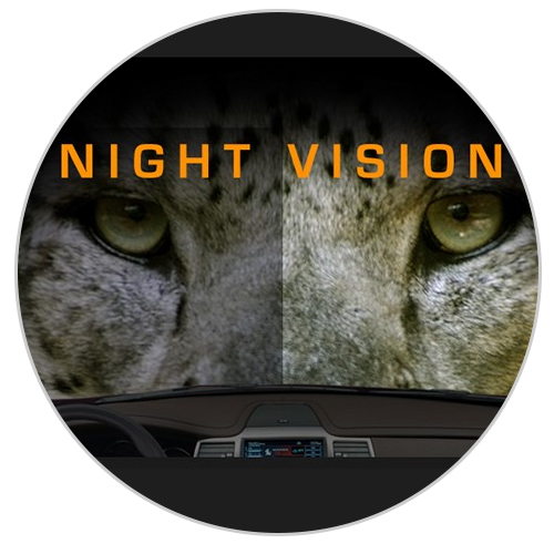 Night vision with the QVIA Dash camera is technology at its best